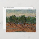 Vincent van Gogh - Olive Grove Briefkaart<br><div class="desc">Olive Grove - Vincent van Gogh,  1889,  Saint-Remy</div>