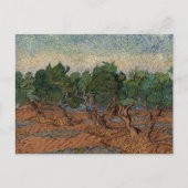 Vincent van Gogh - Olive Grove Briefkaart (Voorkant)