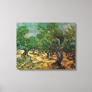 Vincent van Gogh - Olive Grove Canvas Afdruk