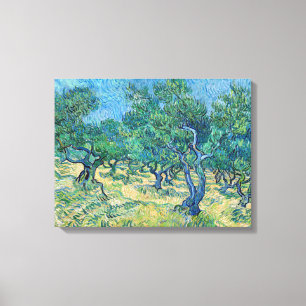 Vincent van Gogh - Olive Grove Canvas Afdruk