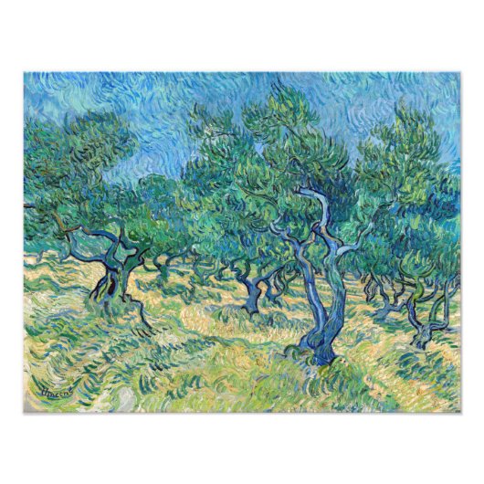 Vincent van Gogh - Olive Grove Foto Afdruk (Voorkant)
