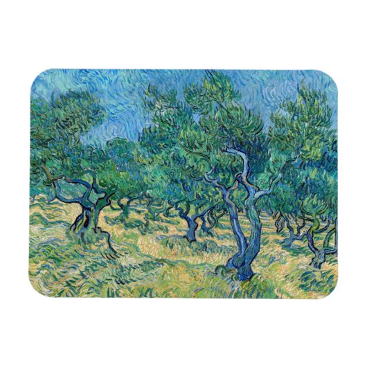 Vincent van Gogh - Olive Grove Magneet (Horizontaal)