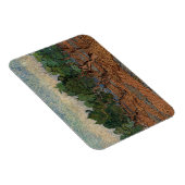 Vincent van Gogh - Olive Grove Magneet (Rechterzijde)