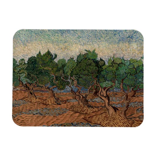 Vincent van Gogh - Olive Grove Magneet (Horizontaal)
