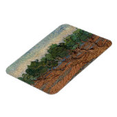 Vincent van Gogh - Olive Grove Magneet (Linkerzijde)