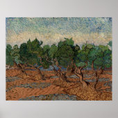 Vincent van Gogh - Olive Grove Poster (Voorkant)