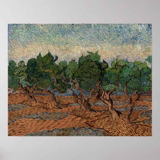 Vincent van Gogh - Olive Grove Poster (Voorkant)