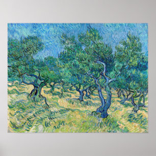 Vincent van Gogh - Olive Grove Poster