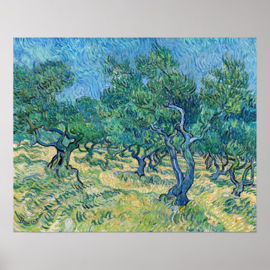 Vincent van Gogh - Olive Grove Poster (Voorkant)