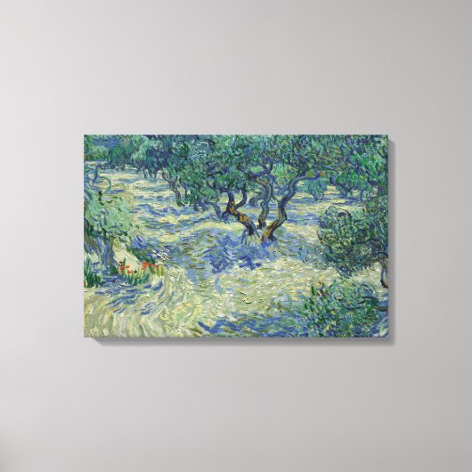 Vincent van Gogh - Olive Orchard Canvas Afdruk (Voorkant)
