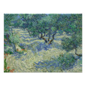 Vincent van Gogh - Olive Orchard Foto Afdruk (Voorkant)