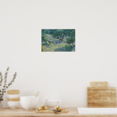 Vincent van Gogh - Olive Orchard Poster (Keuken)