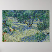 Vincent van Gogh - Olive Orchard Poster (Voorkant)