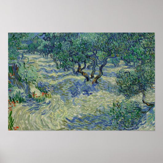 Vincent van Gogh - Olive Orchard Poster (Voorkant)