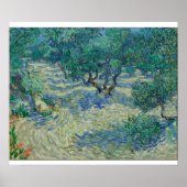 Vincent Van Gogh - Olive Orchard Poster (Voorkant)