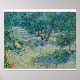 Vincent Van Gogh - Olive Orchard Poster