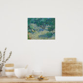 Vincent Van Gogh - Olive Orchard Poster (Keuken)