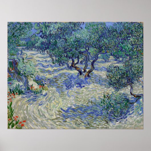 Vincent van Gogh Olive Orchard Poster (Voorkant)