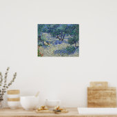 Vincent van Gogh Olive Orchard Poster (Keuken)