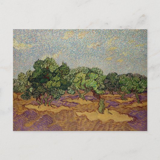 Vincent van Gogh - Olive Trees Briefkaart (Voorkant)