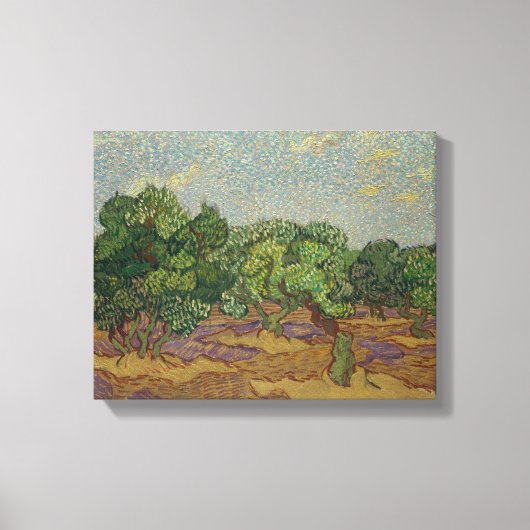 Vincent van Gogh - Olive Trees Canvas Afdruk (Voorkant)
