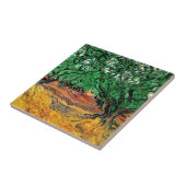 Vincent Van Gogh - Olive Trees Fine Art Tegeltje (Zijkant)