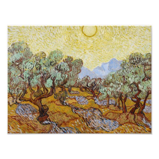 Vincent van Gogh - Olive Trees Foto Afdruk (Voorkant)