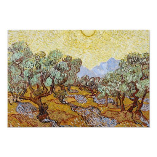 Vincent van Gogh - Olive Trees Foto Afdruk (Voorkant)