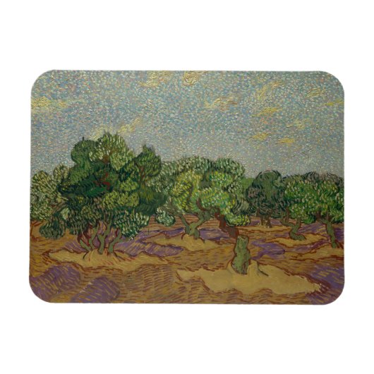 Vincent van Gogh - Olive Trees Magneet (Horizontaal)
