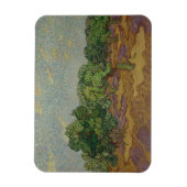 Vincent van Gogh - Olive Trees Magneet (Verticaal)