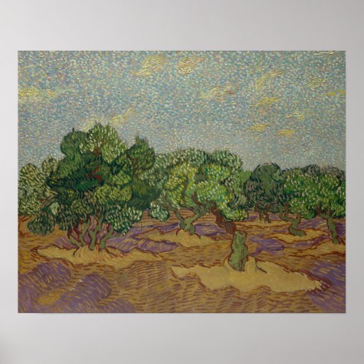 Vincent van Gogh - Olive Trees Poster (Voorkant)