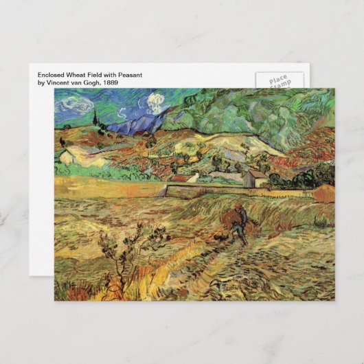Vincent van Gogh - Omheind tarweveld als boer Briefkaart (Voorkant / Achterkant)