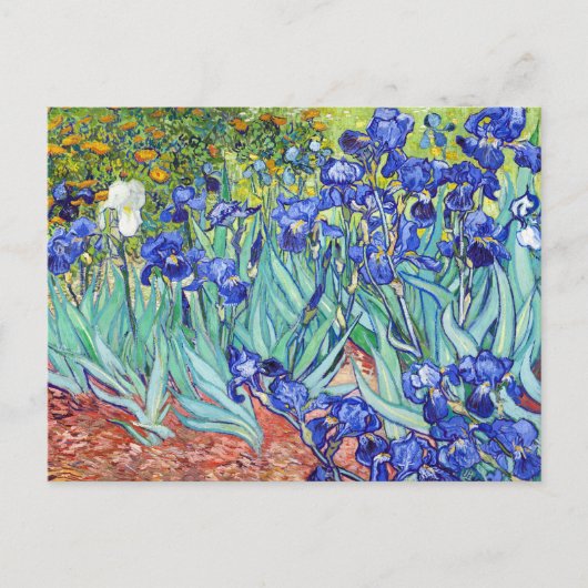 Vincent Van Gogh painting Irises Uitnodiging Briefkaart (Voorkant)