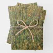 Vincent van Gogh - Pasture in Bloom Inpakpapier Vel (In situ)