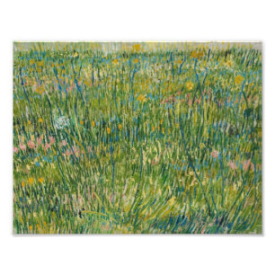 Vincent van Gogh - Patch of Grass Foto Afdruk