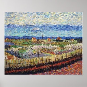 Vincent Van Gogh - Perzikbomen in bloei Fijne Kuns Poster