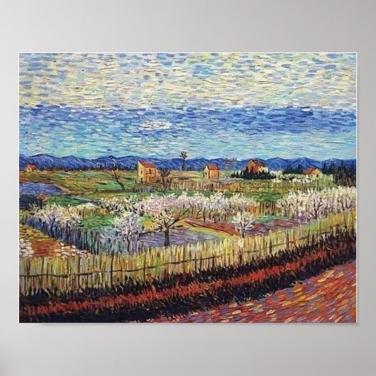 Vincent Van Gogh - Perzikbomen in bloei Fijne Kuns Poster (Voorkant)