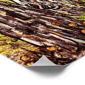 Vincent Van Gogh - Pine Trees en Dandelions Poster (Hoek)