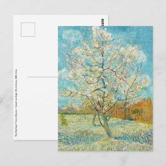 Vincent van Gogh - Pink Peach Tree in Blossom Briefkaart (Voorkant / Achterkant)