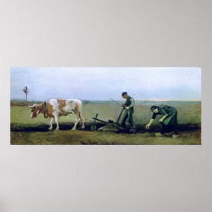 Vincent van Gogh   Planten voor laboratoria en faz Poster