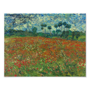 Vincent van Gogh - Poppy Field Foto Afdruk