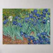 Vincent Van Gogh Poster Print (Voorkant)