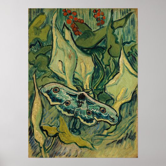 Vincent van Gogh - Reuzen-Nachtpauw Poster (Voorkant)