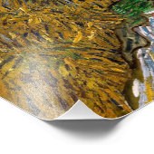 Vincent van Gogh - Road met Cypress en Star Foto Afdruk (Hoek)