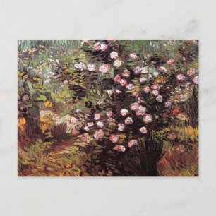 Vincent van Gogh - Rosebush in Blossom Fine Art Briefkaart