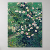 Vincent Van Gogh - Rosebush in Blossom Poster (Voorkant)
