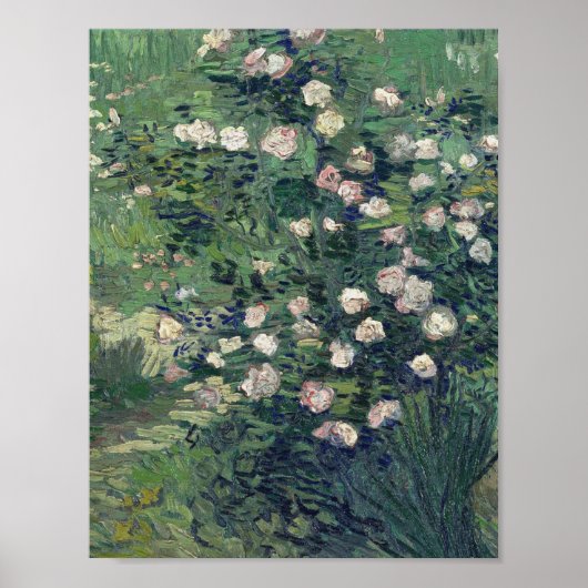 Vincent Van Gogh - Rosebush in Blossom Poster (Voorkant)