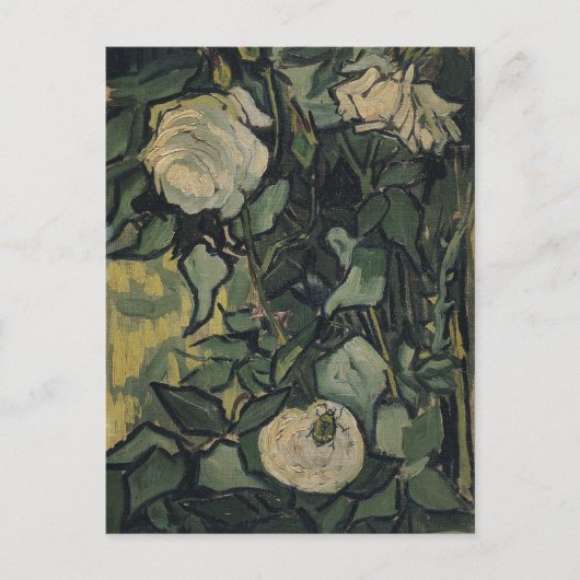 Vincent van Gogh - Rozen en kever Briefkaart (Voorkant)