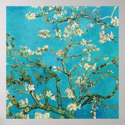 Vincent Van Gogh schilderij Amandelbloesem Poster (Voorkant)