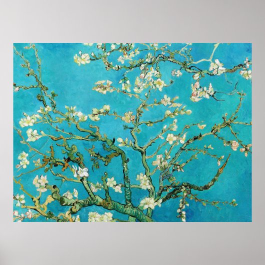 Vincent Van Gogh schilderij Amandelbloesem Poster (Voorkant)
